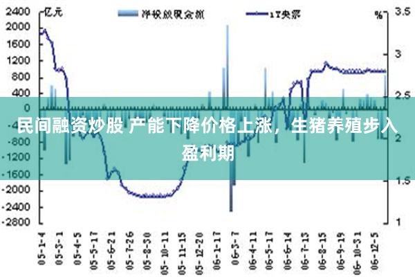 民间融资炒股 产能下降价格上涨，生猪养殖步入盈利期