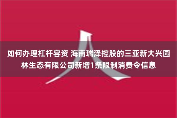 如何办理杠杆容资 海南瑞泽控股的三亚新大兴园林生态有限公司新增1条限制消费令信息