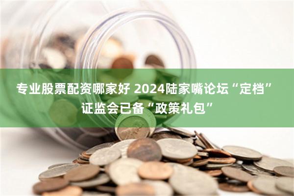 专业股票配资哪家好 2024陆家嘴论坛“定档” 证监会已备“政策礼包”