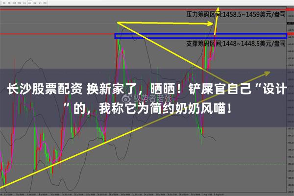 长沙股票配资 换新家了，晒晒！铲屎官自己“设计”的，我称它为简约奶奶风喵！