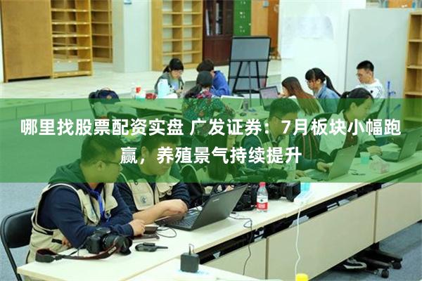 哪里找股票配资实盘 广发证券：7月板块小幅跑赢，养殖景气持续提升