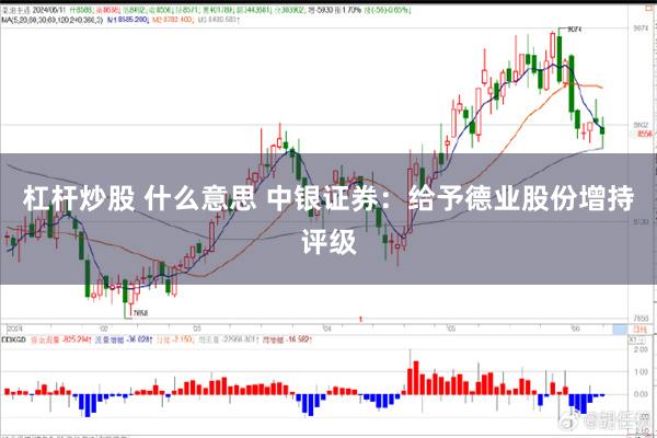 杠杆炒股 什么意思 中银证券：给予德业股份增持评级