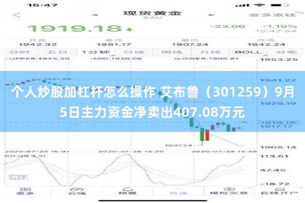 个人炒股加杠杆怎么操作 艾布鲁（301259）9月5日主力资金净卖出407.08万元