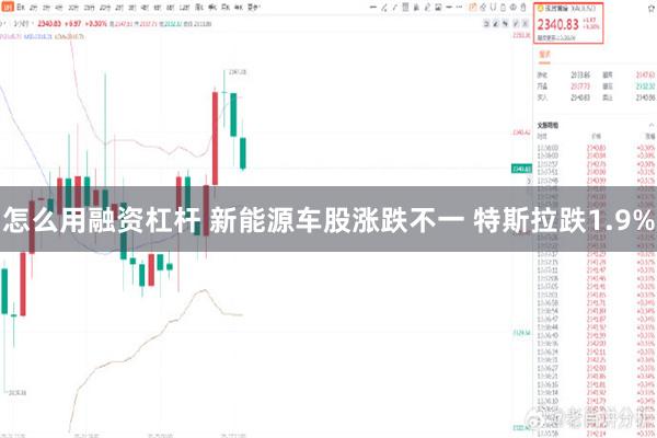 怎么用融资杠杆 新能源车股涨跌不一 特斯拉跌1.9%