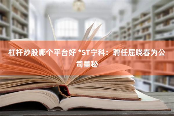 杠杆炒股哪个平台好 *ST宁科：聘任屈晓春为公司董秘