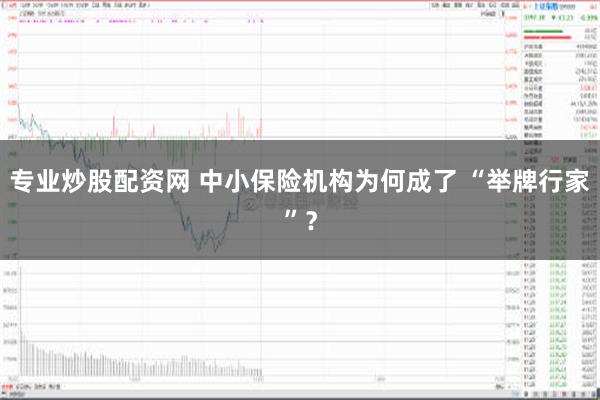 专业炒股配资网 中小保险机构为何成了 “举牌行家”？