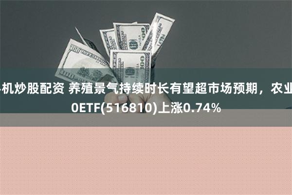 手机炒股配资 养殖景气持续时长有望超市场预期，农业50ETF(516810)上涨0.74%