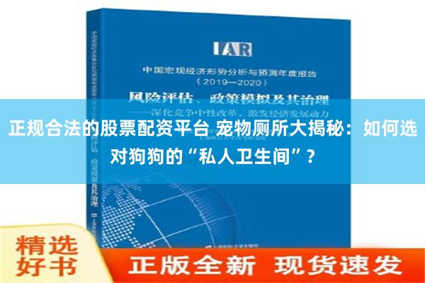 正规合法的股票配资平台 宠物厕所大揭秘：如何选对狗狗的“私人卫生间”？