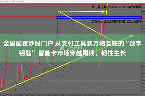 全国配资炒股门户 从支付工具到万物互联的“数字钥匙” 智能卡市场穿越周期、韧性生长